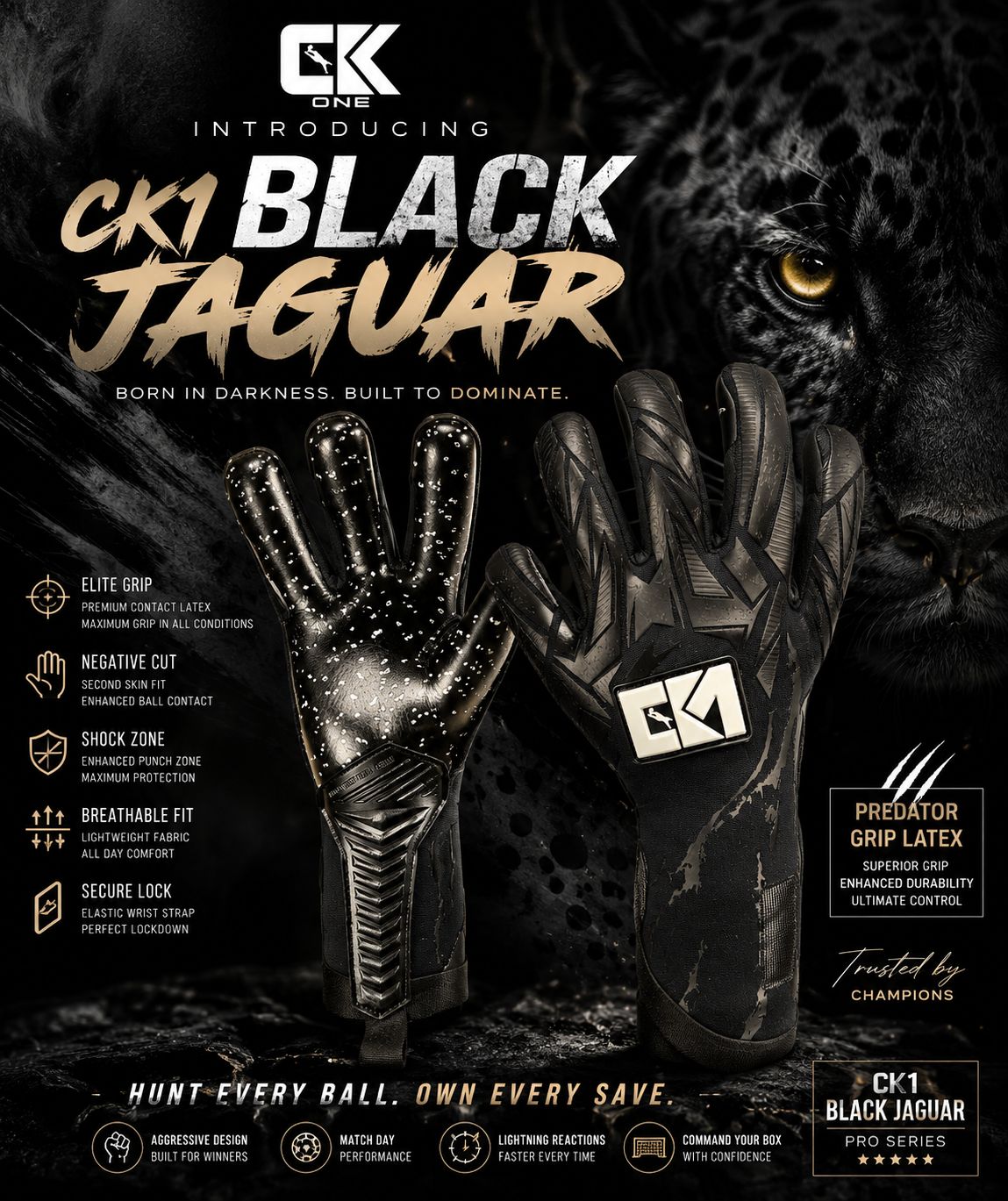 CK1 Black Jaguar